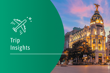 Trip Insights Europe 2025