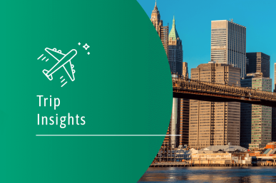 Trip Insights: US