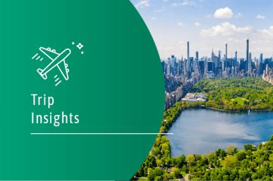 4d_trip-insights_the-us_26010